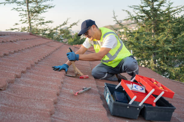 Best Emergency Roof Repair  in Sand Point, AK