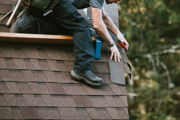 Best Roof Leak Repair  in Sand Point, AK