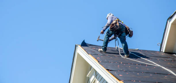 Best Roof Gutter Cleaning  in Sand Point, AK
